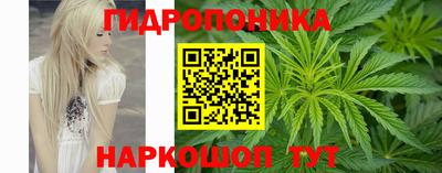 молекула духа Чебоксары