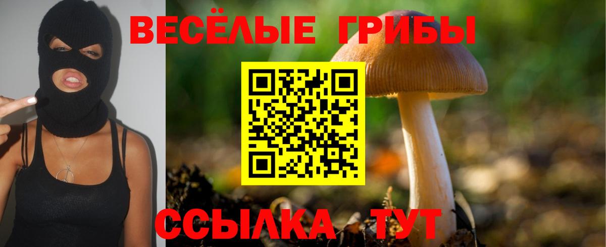 Кингисепп  Галлюциногенные грибы мицелий  Вход с VPN  Псилоцибиновые грибы Magic Shrooms 